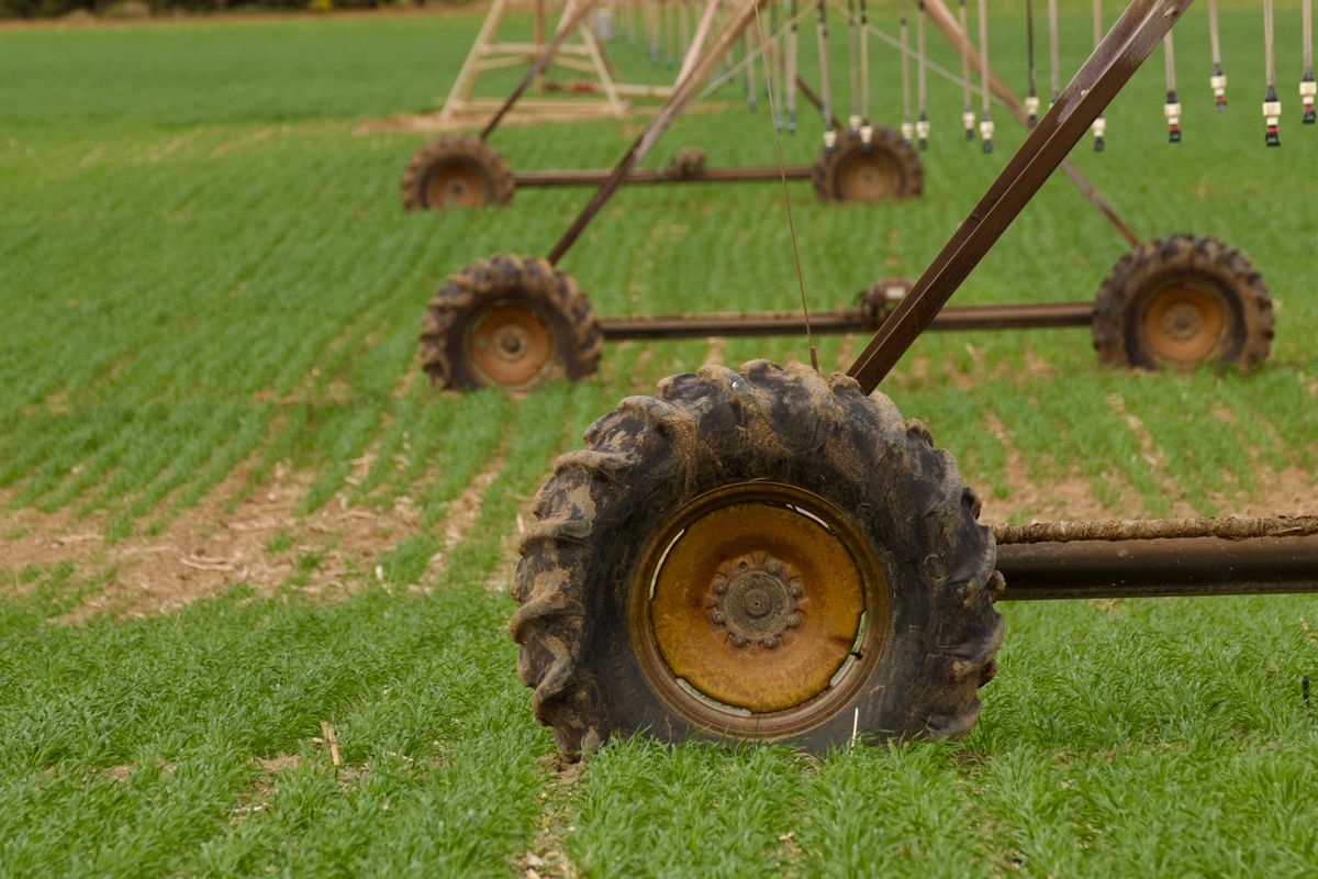 Agricultural irrigation infrastructure operating in a field