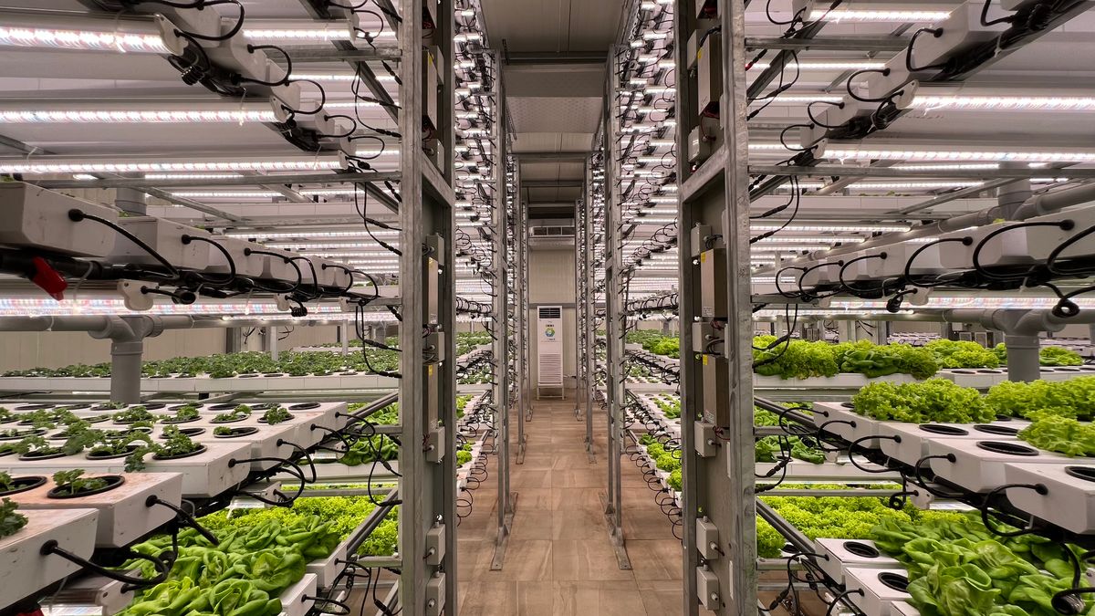 Modern protected hydroponic cultivation system