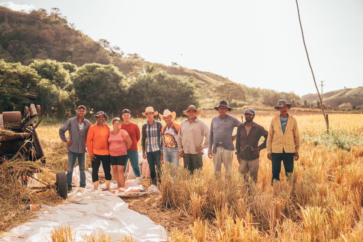 Group of farmers participating in collaborative field learning